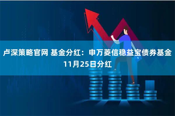 卢深策略官网 基金分红：申万菱信稳益宝债券基金11月25日分红
