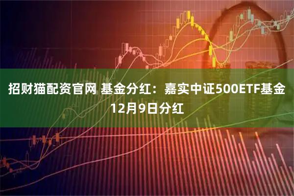 招财猫配资官网 基金分红:嘉实中证500ETF基金12月9日分红