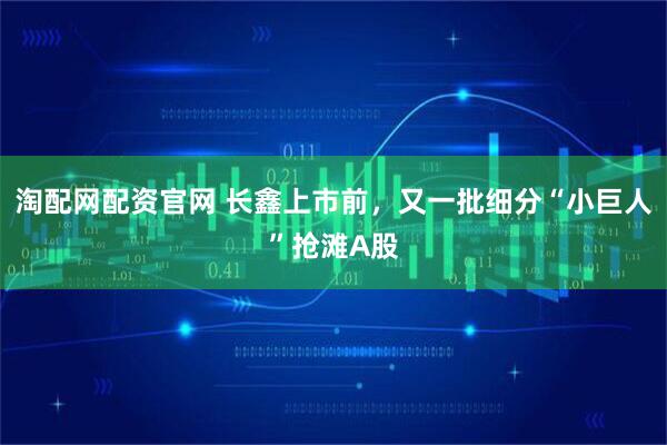淘配网配资官网 长鑫上市前,又一批细分“小巨人”抢滩A股